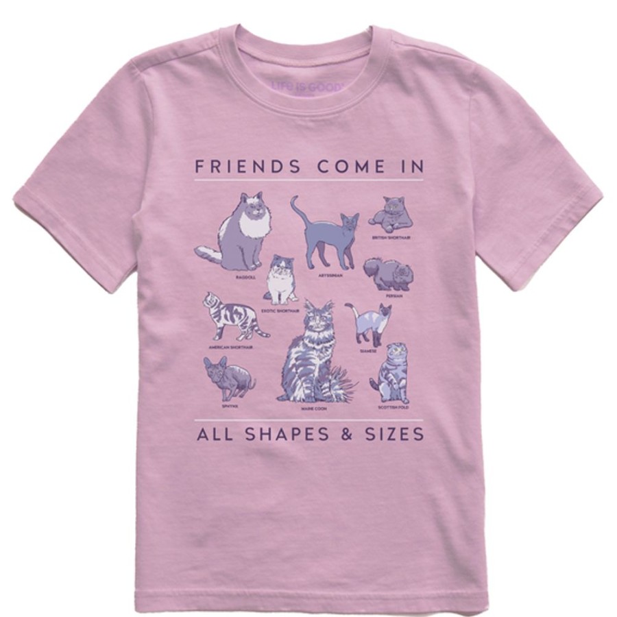 Kids Life is Good Graphic Tees | Kids Realaxed Cat Friends Shapes & Sizes Crusher Tee Violet Purple