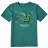 Kids Life is Good Graphic Tees | Kids Dragon Facts Crusher Tee Spruce Green