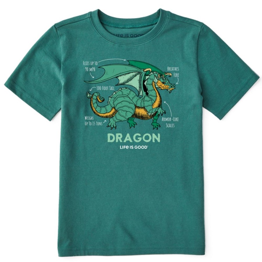 Kids Life is Good Graphic Tees | Kids Dragon Facts Crusher Tee Spruce Green