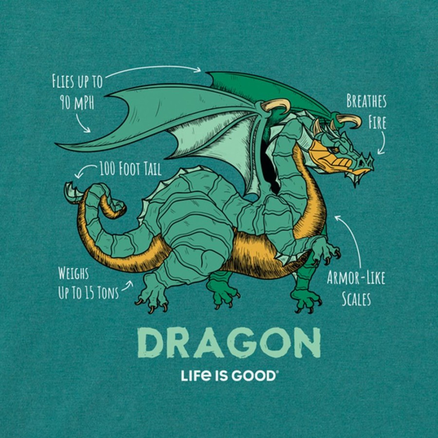 Kids Life is Good Graphic Tees | Kids Dragon Facts Crusher Tee Spruce Green