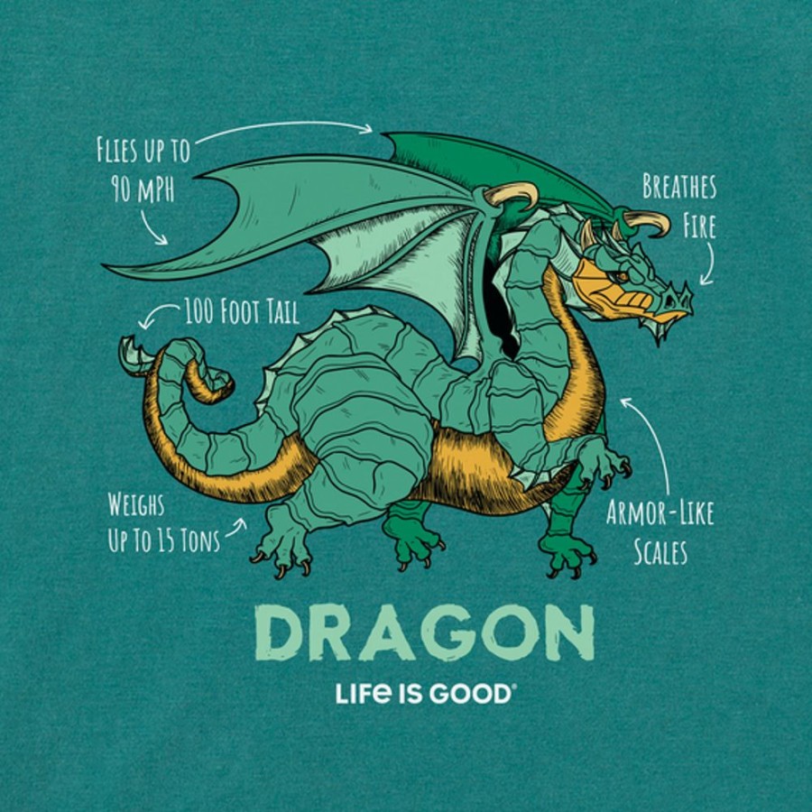 Kids Life is Good Graphic Tees | Kids Dragon Facts Crusher Tee Spruce Green