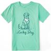 Kids Life is Good Graphic Tees | Kids Lucky Irish Dog Crusher Tee Spearmint Green